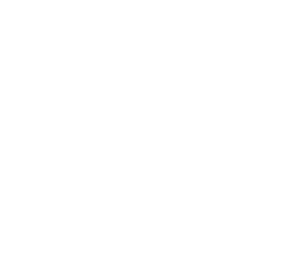 Moriori Imi Settlement Trust