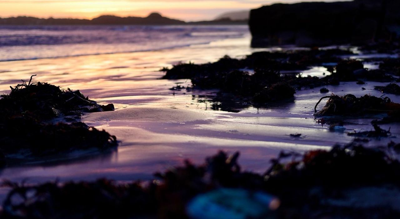 Rēkohu (Chatham Island) - Rangihaute (Pitt island)